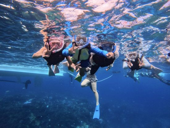 慶良間諸島シュノーケル体験 ボートで行く！一面に広がるサンゴと熱帯魚の世界へ！初心者OK・写真プレゼント付き♪＜1日／沖縄本島＞