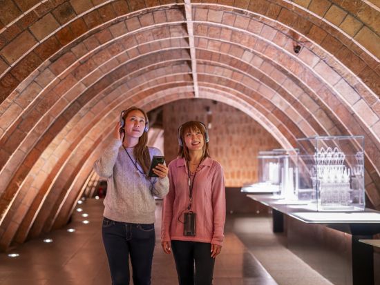 世界遺産カサ・ミラ（La Pedrera）日時指定入場チケット事前予約 ＜日本語オーディオガイド付き＞*当日予約OK