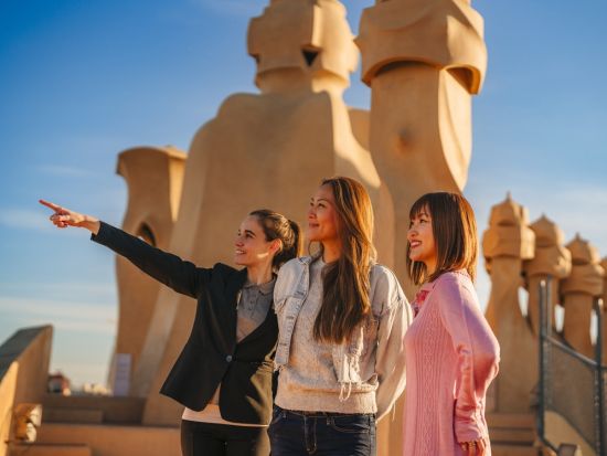 世界遺産カサ・ミラ（La Pedrera）少人数特別ガイドツアー　非公開エリアも見学！＜約1時間30分／英語ガイド／スパークリングワイン1杯付き＞