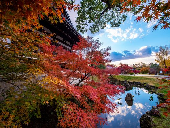 T 智積院 紅葉 (4)