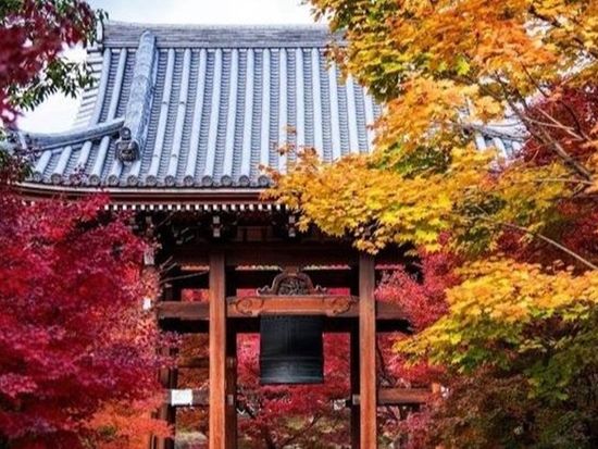 T 智積院 紅葉 (5)