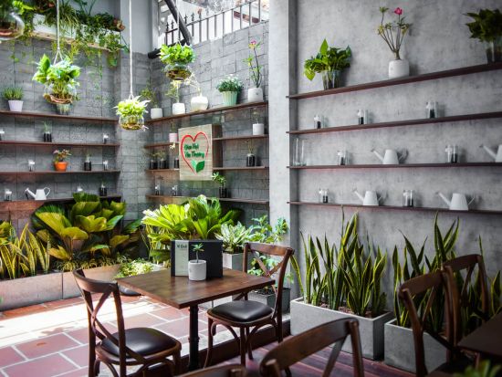 ヴィクエキッチン　食事券＆事前予約サービス　ミシュランガイドビブグルマンのベジタリアンベトナム料理＜ランチ／ディナー／送迎オプションあり＞