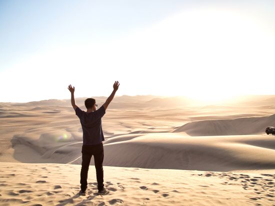 バジェスタス諸島＆ワカチナ日帰りツアー　海の楽園と砂漠のオアシスを巡る絶景旅　昼食付き＜貸切／専用車／日本語ガイド／リマ発＞