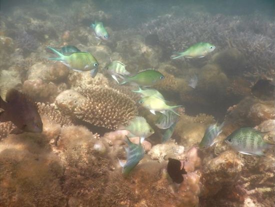 11000005996807_XAQAe0ms_4