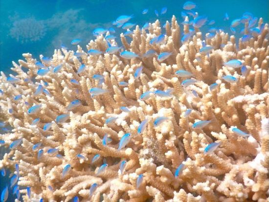 11000005996804_XAQAe0ms_4