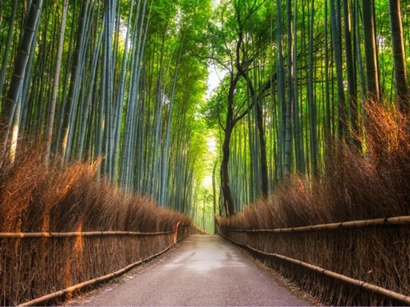 G8D11_2c2a88cc-676e-477f-b838-7b