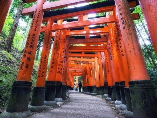 G8D11_f9c52b64-0187-409c-ab15-1d