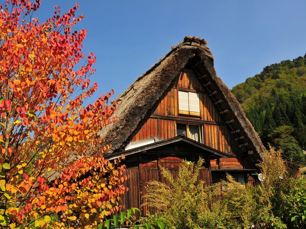 世界遺産 白川郷／五箇山 合掌造り | 富山 旅行の観光