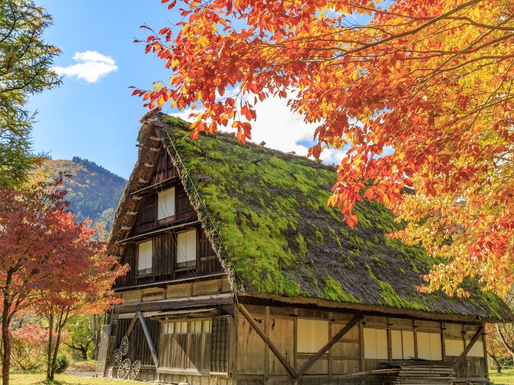 富山　立山・黒部 五箇山・白川郷 ’１８ カメラ付 富山 立山・黒部 五箇山・白川郷 '18 カメラ付