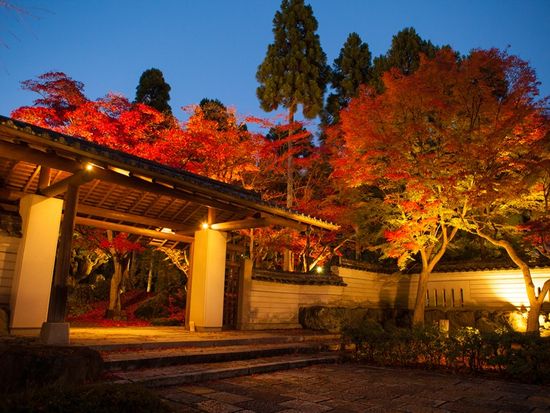 TX.TW_紅葉庭園入口左側から