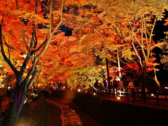 TX.TW_北野天満宮