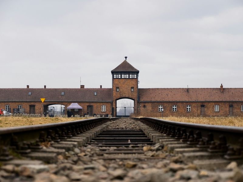 ryan-faulkner-Zd4dpzoJlR4-unsplash