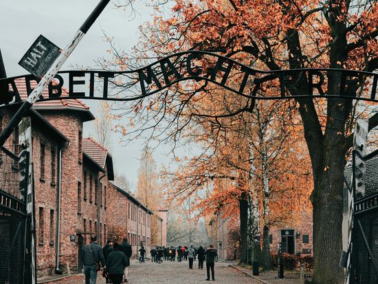 jean-carlo-emer-_qvH1oVD7HI-unsplash