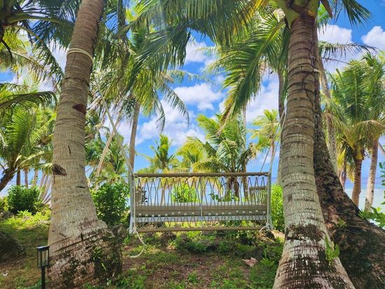 eyJidWNrZXQiOiJudG1nLW1lZGlhIiwi (17)