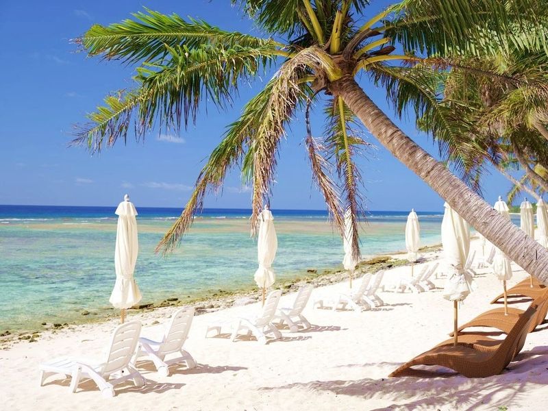 eyJidWNrZXQiOiJudG1nLW1lZGlhIiwi (4)