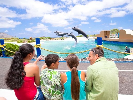 オアフ島　Go City オール・インクルーシブパス　好きなだけ、多くのアトラクションを満喫できる