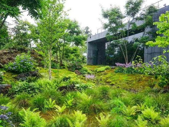 韓国人気番組「Happy Jeju（ハンサムガイズ）」の済州ロケ地巡りツアー　ソラの城やベケ庭園など話題の撮影地を満喫＜1日／昼食付／日本語ドライバー＞