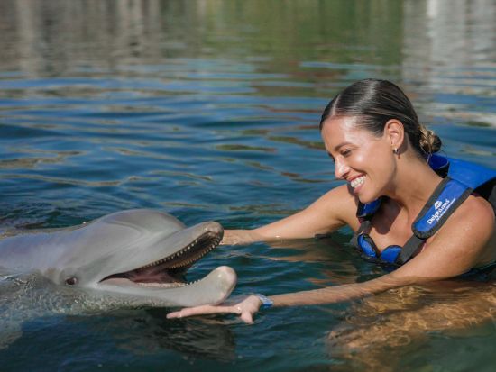 大自然のテーマパーク「シェルハ海洋公園」 イルカと触れ合い体験　シュノーケリング体験付きプランあり＜食べ飲み放題／英語ドライバー／カンクン発＞