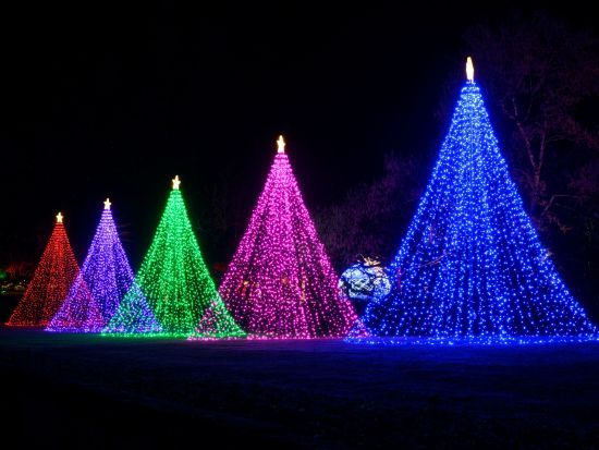 ビクトリア観光＆ブッチャート･ガーデン　クリスマス・イルミネーションツアー ＜12～1月／英語ガイド＞