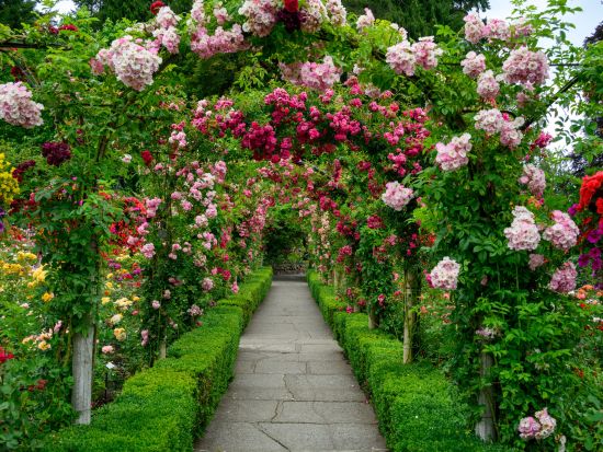 ビクトリア観光＆ブッチャート・ガーデンツアー ＜3～10月／英語ガイド／バンクーバー発＞