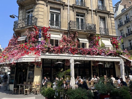 アシスタント貸切観光　思い通りにアレンジするオーダーメイド街歩き　モデルコースあり　公認ガイド選択可＜徒歩または公共交通機関利用／日本語＞ by H.I.S.