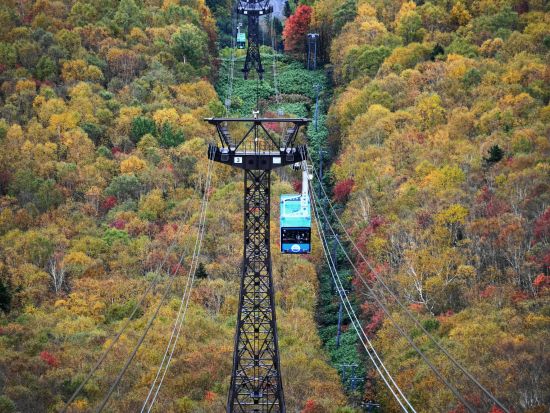 送迎タクシープラン 旭川市内⇔層雲峡ビジターセンター 目的地への移動に便利 早朝深夜プランもあり＜最大9名／通年／旭川市内・層雲峡ビジターセンター発着＞