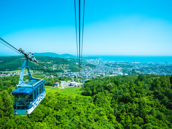 小樽⇆新千歳空港連絡バスE-チケット 約90分で快適移動＜Wi-Fi完備／当日予約OK＞