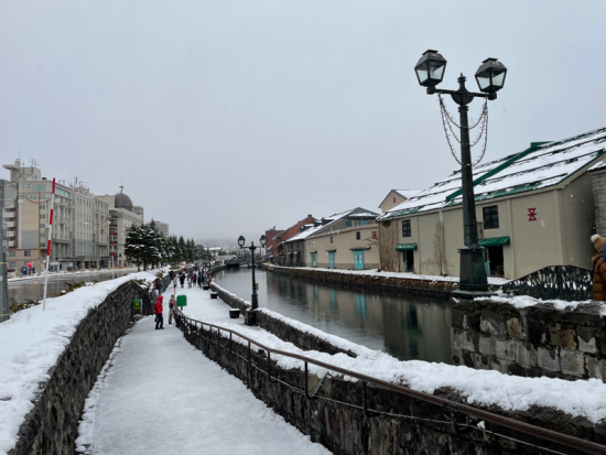 小樽⇆新千歳空港連絡バスE-チケット 約90分で快適移動＜Wi-Fi完備／当日予約OK＞