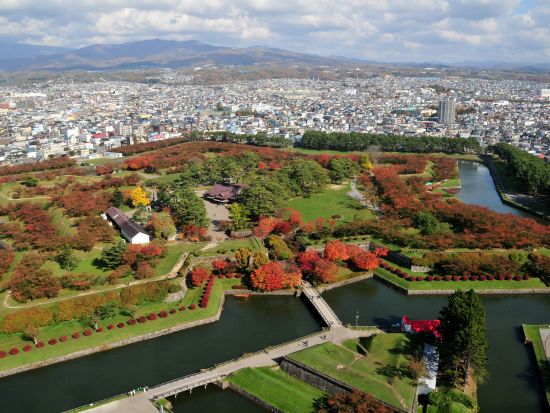 函館 五稜郭タワー展望チケット事前予約　地上90mあら360度函館を一望！五稜郭の美しい五角形を眺めよう＜年中無休／函館＞