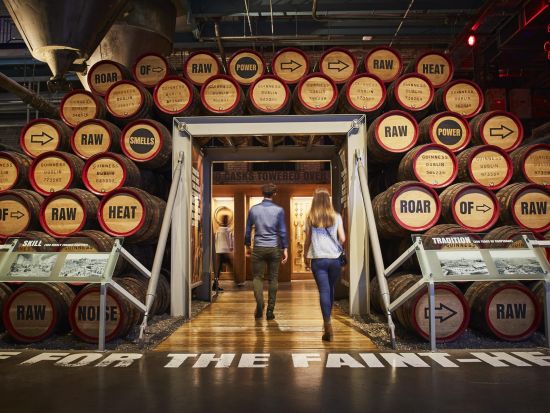 ダブリン　Go City オール・インクルーシブパス　好きなだけ、多くのアトラクションを満喫できる