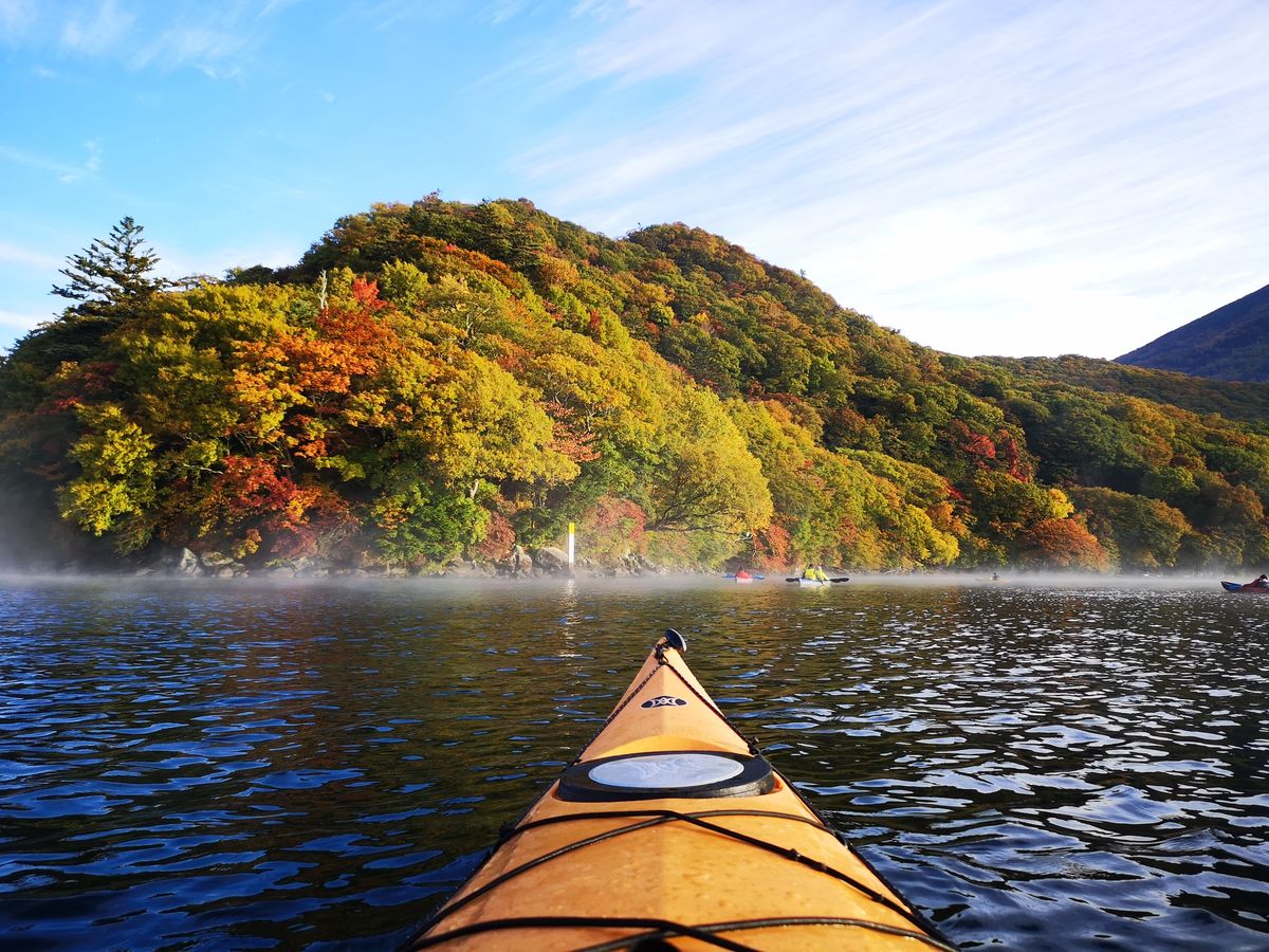 20250814021626_1376999460_1100