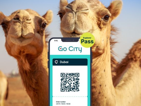ドバイ　Go City エクスプローラーパス　3～10つのアトラクションをお得に体験