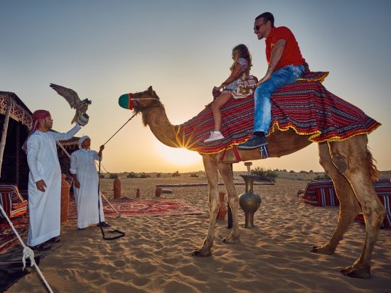 ドバイ　Go City エクスプローラーパス　3～10つのアトラクションをお得に体験