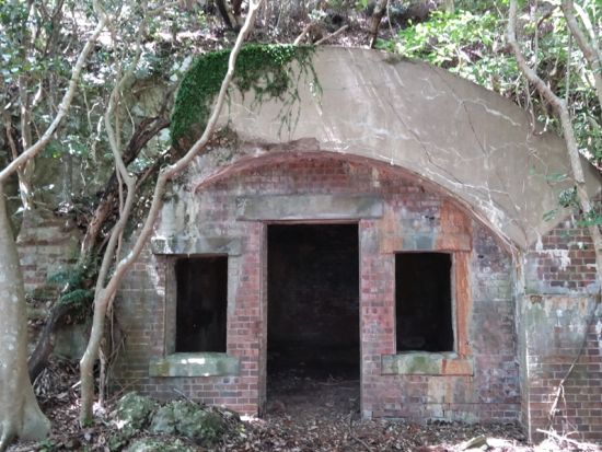 シーカヤック＆トレッキング体験 対馬の絶景を体感する海と山のアクティビティツアー＜1日／対馬／初心者歓迎＞