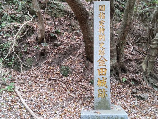 シーカヤック＆トレッキング体験 対馬の絶景を体感する海と山のアクティビティツアー＜1日／対馬／初心者歓迎＞