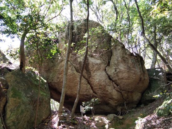 白嶽＆金田城ハイキングツアー 霊峰と古代山城をめぐる絶景と歴史探訪＜対馬／初心者歓迎／1日＞