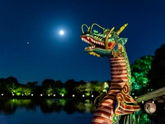 DN_大覚寺 観月の夕べ【写真提供：大覚寺】3