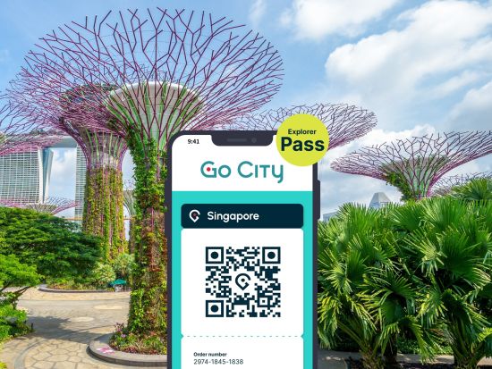 シンガポール　Go City エクスプローラーパス　2～7つのアトラクションをお得に体験