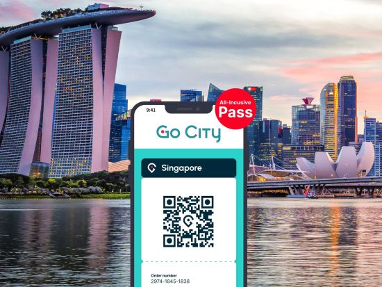 シンガポール　Go City オール・インクルーシブパス　好きなだけ、多くのアトラクションを満喫できる
