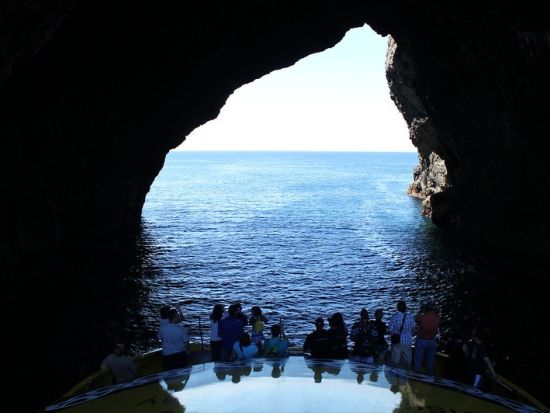 パイヒア宿泊ツアー　 北島のリゾート地で絶景とともにオテヘイベイやクルーズ、ケープレインガなどを満喫！＜1泊2日または2泊3日／英語／オークランド発着＞