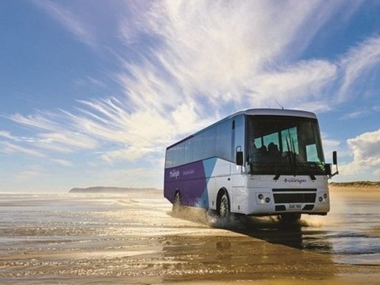 パイヒア宿泊ツアー　 北島のリゾート地で絶景とともにオテヘイベイやクルーズ、ケープレインガなどを満喫！＜1泊2日または2泊3日／英語／オークランド発着＞