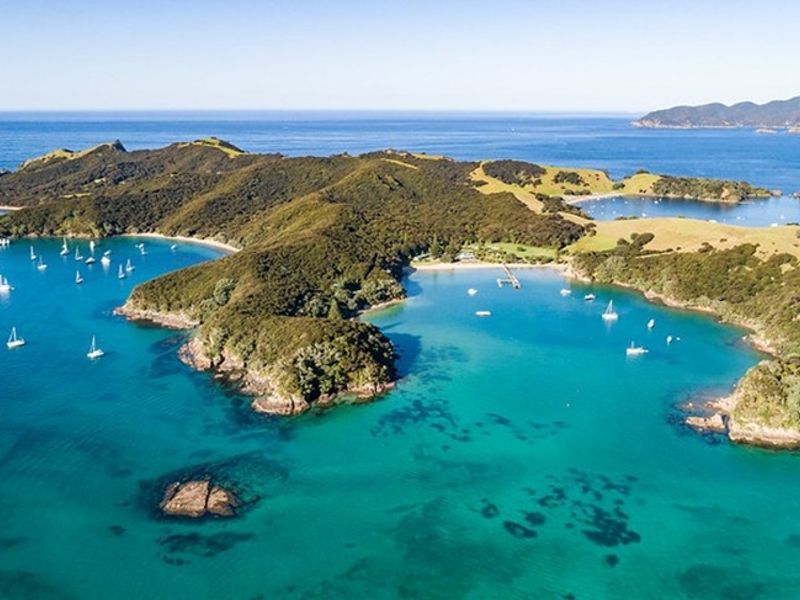 【1N2D】50093334506_f3e84266f8_c