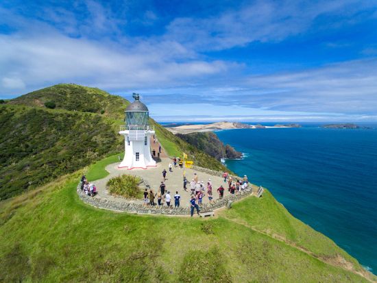 パイヒア宿泊ツアー　 北島のリゾート地で絶景とともにオテヘイベイやクルーズ、ケープレインガなどを満喫！＜1泊2日または2泊3日／英語／オークランド発着＞