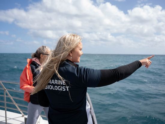 ホエールウォッチングクルーズ 海洋科学者の解説付き＜8月～11月／英語／パース市内送迎付き／ヒラリーズ発着＞