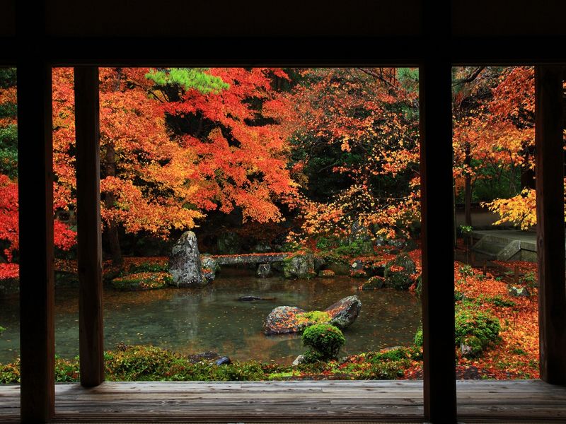 RA_蓮華寺_秋 (3)