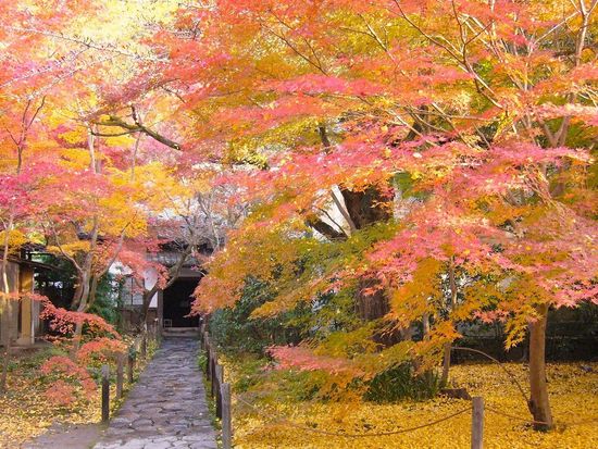 RA_蓮華寺_秋 (2)