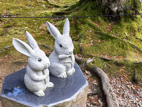 Shimane_Izumo Taisha_shrine_AdobeStock_478251955