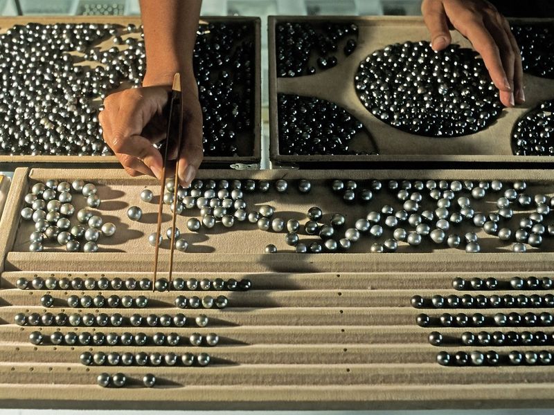 4d3541_8cfac9bbe1ff410982203be8f