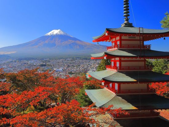 東京発日帰りバスツアー 富士山絶景スポット巡り！英語ガイドと行くインバウンド向けツアー＜英語ガイド＞