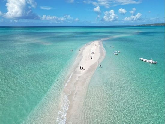 11000005617807_b8vUVfSE_4